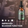 (5 Pack) Potent Stream Drops, Potent Stream Prostate Support Drops (60 ML)