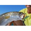 Yo-Zuri 3D Inshore Surface Minnow (F) 90mm 3-1/2" Mullet Floating Lure