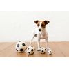 LANCO soccer ball LL PTLA2302