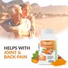 Turmeric Capsules (95% Curcumin) 1300mg Supplement with BioPerine – 2 Pack