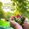 Dalan d'Olive Body Lotion, 2 x 400 ml (Pack of 2)