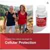 Protocol For Life Balance - ProtoSorb Magnesium - 90 Veg Capsules