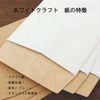 3 Long Camas Envelopes White Craft 100 Sheets (A4 Horizontal Tri-Fold Size)
