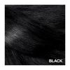 Garnier Color Sensation Retouch 1.0 Black
