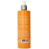 Aqua Spa Energize Body Cleanser, 12 Fluid Ounce
