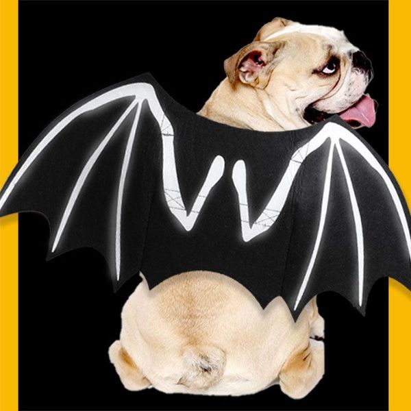 Luminous Bat Wings Dog Costume - Transform Your Pup Into A Mysterious Creature! - Black / S