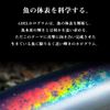 DAIWA Saltiga Rafride, 140F, HM, Navy Bone, Cruise Custom