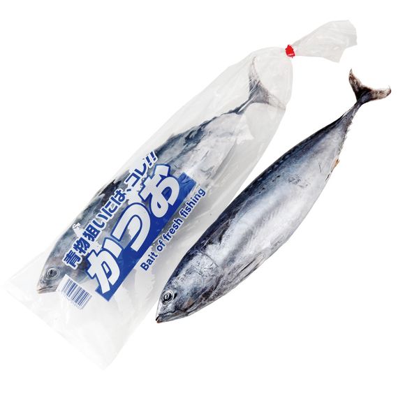 Hama-shi Frozen Fishing Bait (Bonito Little Fish) 1 Bag x 2 Set (Raw Type) [Frozen]