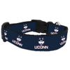 College Dog Collar (Large, UConn)