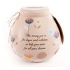 Pot of Dreams - Dandelion