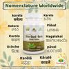 Bitter Gourd (Karela) Capsule