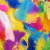 Collage crafts | Bright feathers | Assorted colours | 20 gram bag | Craft feathers