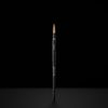 Chaun Legend Professional 100% Kolinsky Acrylic Brush [Handle #10]