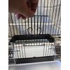 #AE1411BLK FINCH OR CANARY BLACK CAGE