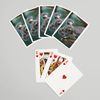 Lantern Press Koala (52 Playing Cards, Poker Size Card Deck with Jokers)