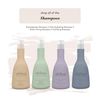 SHIBUI Violet Toning Shampoo 12oz