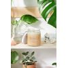 Organic Magnesium Lotion