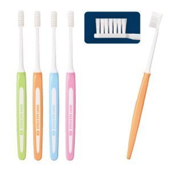 Lion DENT. MAXIMA-MAXIMA-M Normal/Pack of 12