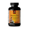 Maxamino Plus 1200 Pre & Post Workout Amino Acids Bodybuilding 1 Bot 180 Tablets