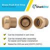 SharkBite 1 Inch Push Cap, Push to Connect Brass Plumbing Fitting, PEX Pipe,