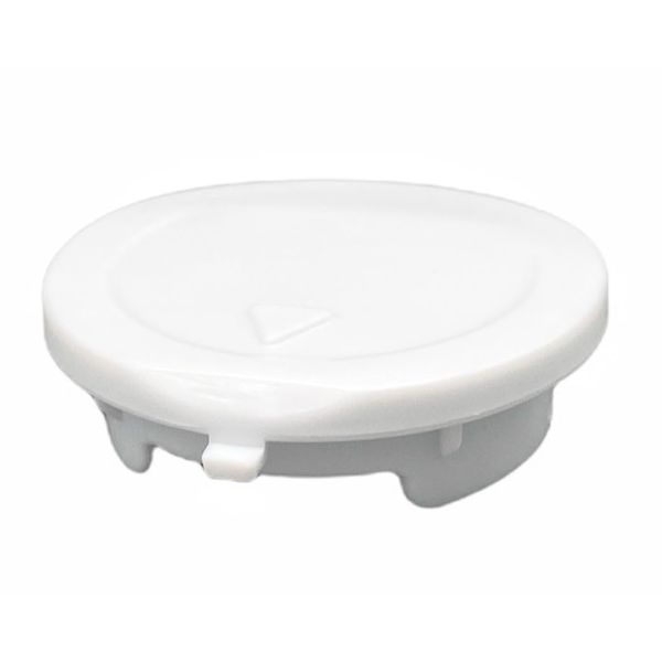 Hitachi Hitachi BW-G70H 017 Washing Machine Drain Cap