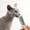 JBPET Placenta Supplement Paste for PETS