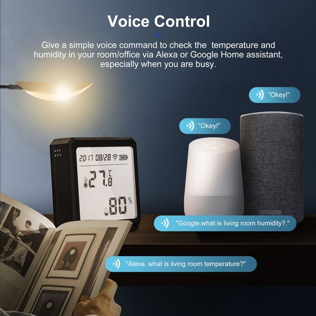 Echo – Read Temperature and Humidity from Sensor 