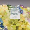 x4 Shabby Chic MELAMINE Dinner Plate Set Hydrangea Blue Green Easter Floral