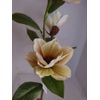 Magnolia stem bush CREAM with Green highlights