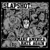 Make America Hate Again (Coloured Vinyl) [VINYL]