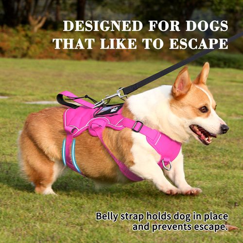 VOOPET Escape Proof Dog Harness, Soft Padded Full Body Pet Harness, Reflective No Pull Dog Harness with Handle and 2 Leash Clips for Large Dogs Walking Hiking Training (Rose Pink,XL)
