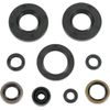Winderosa 822292 Engine Oil Seal Kit