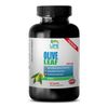 olive leaf oil, OLIVE LEAF EXTRACT 500mg, memory enhancing properties 1B