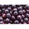 digestion no bloating - WINE EXTRACT - renewing antioxidant 2B 120CAPS