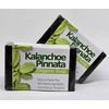4.8oz rare Kalanchoe soap, natural