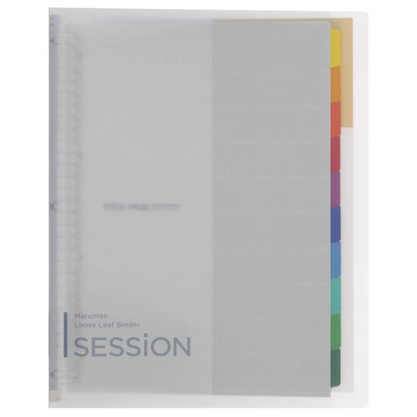 Maruman F584-98 Loose Leaf Binder, A4, Session, 30 Holes, Clear