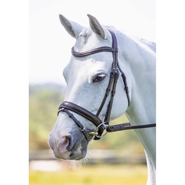 Shires Velociti Ergonomic Flash Bridle Cob Black