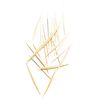 Dr. Barman's Dental Woodsticks, 100 pcs.
