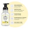 J.R. Watkins Foaming Hand Soap with Pump Dispenser, Moisturizing Foam Hand... 