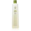 3 Pack - Trader Joe's Tea Tree Tingle Shampoo 16 FL OZ Each Bottle