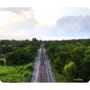 Lonely Train Tracks Thick Mouse Pad by Atomic Market