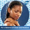 Dial Antibacterial Bar Soap, Mountain Fresh, 4 Ounce, 3 Bars