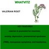 Valerian Root 120 Tablets