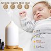 VIVITEST Aromatherapy Diffuser,250ML Ceramic Ultrasonic Essential Oil Diffuser for Aromatherapy (250ML)