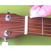 FRETNOTE Stickers for Guitar - 6-String RH Fretboard Notes (25 Labels) with Online Learning Aids