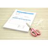 Lion Office Charger Poly Zipper