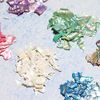 Yesmart Nail Parts, Natural Shell, Flake Shell, Nail Stone Parts, Yesmart Big Shell, Abalone Shell, Nail Art Parts, Nail Parts, Seashell, Nail Art, Nail Seashell Style YES121