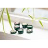 MANGO lip butter 10 ml