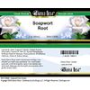 Soapwort Root Cream (2 oz, ZIN: 512698) - 3 Pack