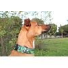 candyPet® Click Collar for Dogs - Model Chip